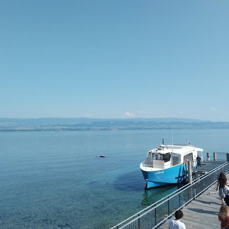 Alvéole du Léman - Appartement Le Nid du Chat Noir Sciez Esterno foto