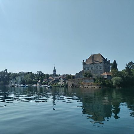 Alvéole du Léman - Appartement Le Nid du Chat Noir Sciez Esterno foto
