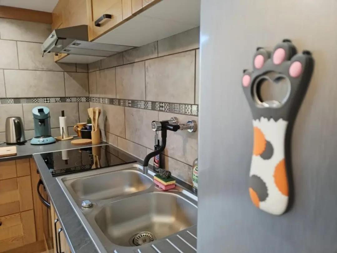 Alvéole du Léman - Appartement Le Nid du Chat Noir Sciez Esterno foto