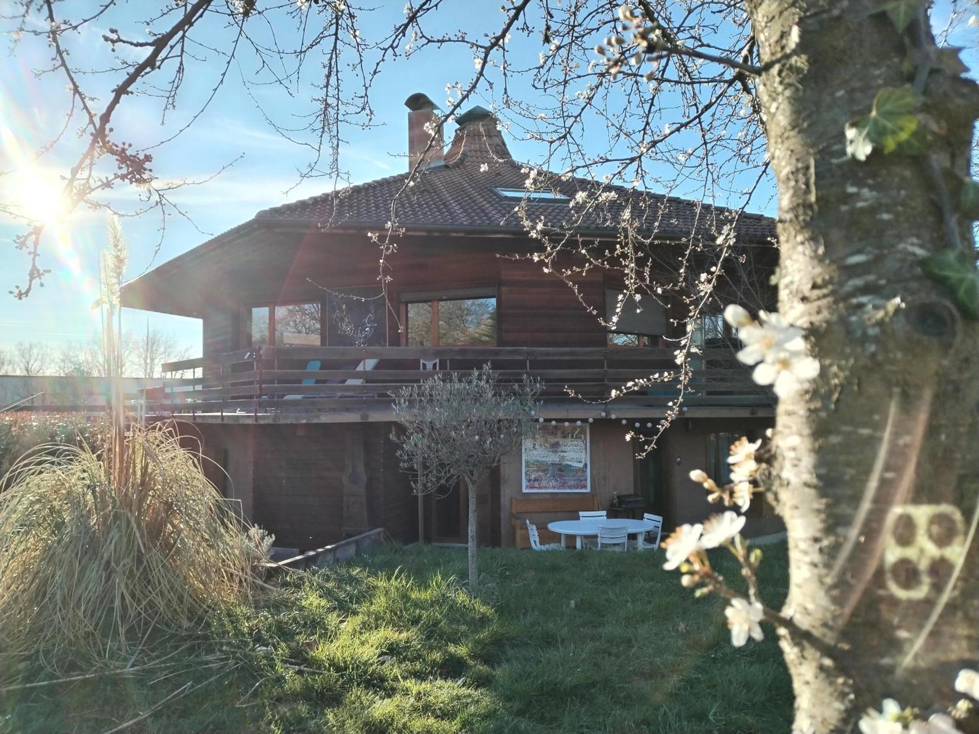 Alvéole du Léman - Appartement Le Nid du Chat Noir Sciez Esterno foto