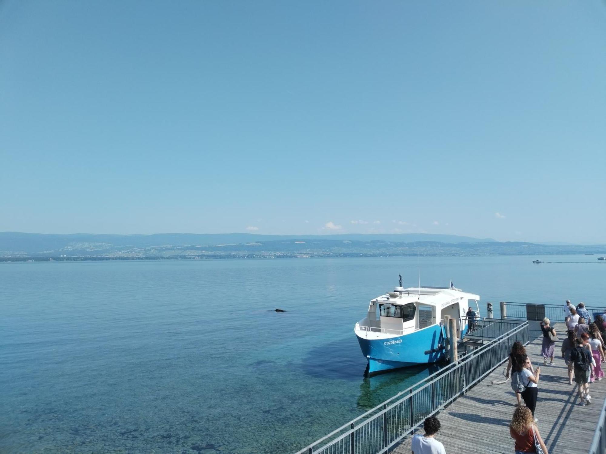 Alvéole du Léman - Appartement Le Nid du Chat Noir Sciez Esterno foto